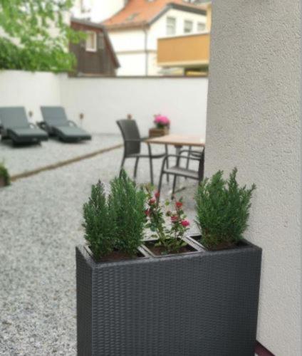 REGIOHOTEL am Kurpark Bad Harzburg Bagian luar foto